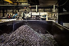 about-us-sustainability-initiatives-header.JPG