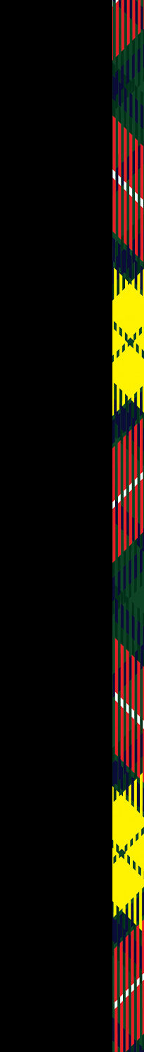 Selected Bars.jpg