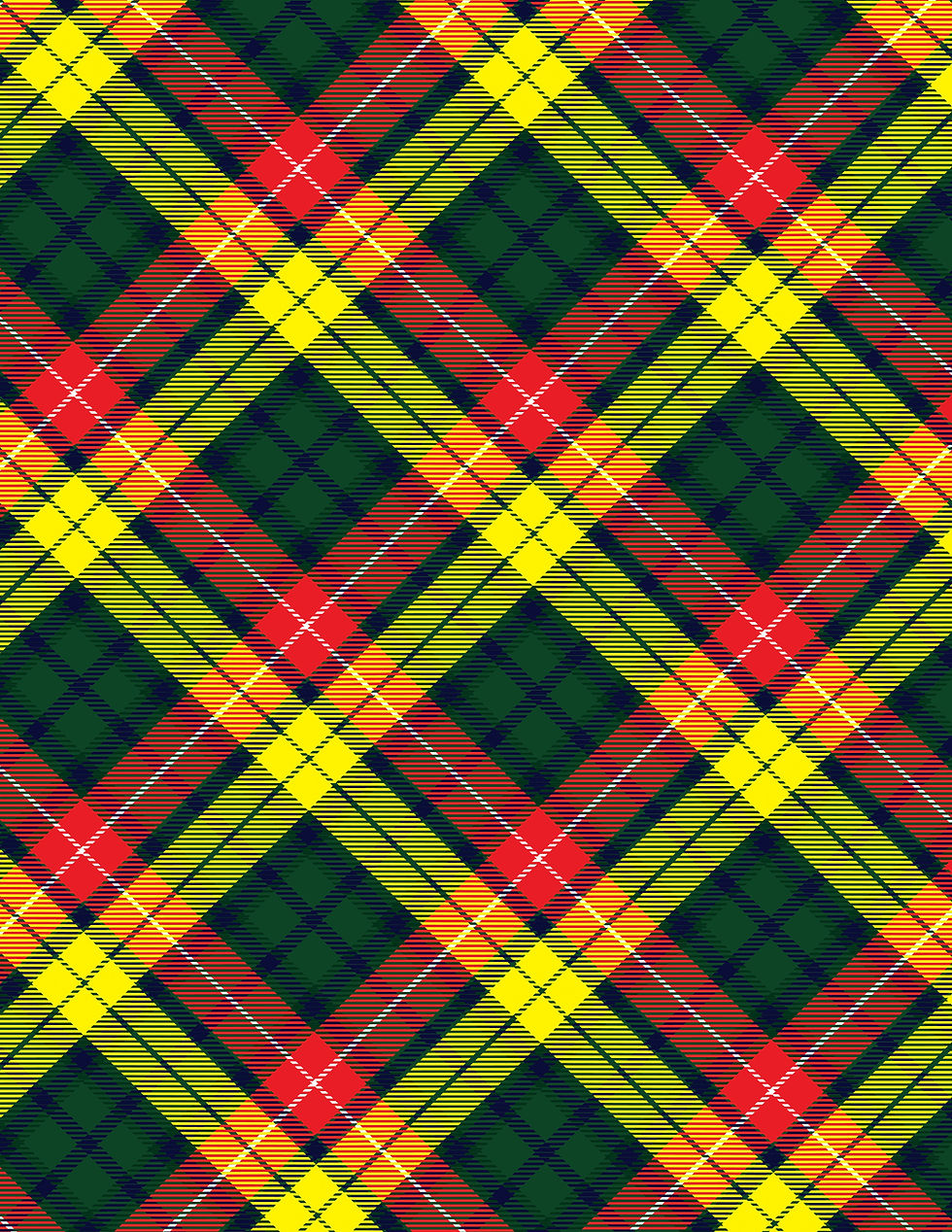 Scot Forge Plaid.jpg