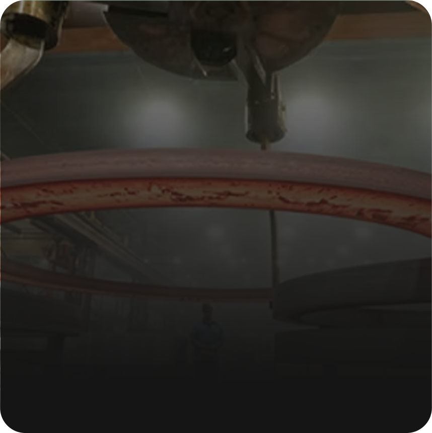 ring_subhead.png